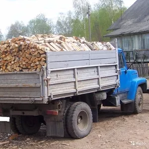 Дрова з Державного Лісгоспу