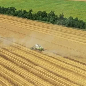 Услуги по уборке урожая комбайнами Житомир, дисковка, аренда комбайна.