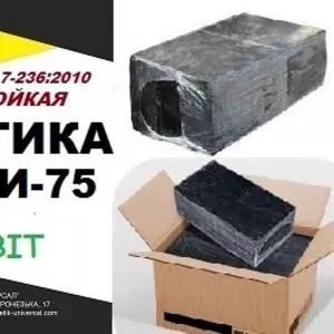 МБР-И-75 Ecobit ДСТУ Б.В.2.7-236:2010 битумая химстойкая гидроизоляцио