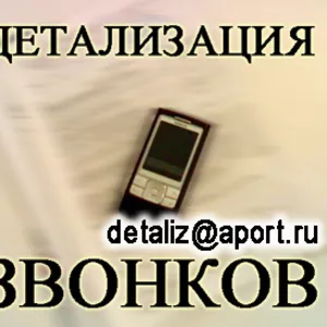 Услуга Детализация звонков с оплатой по факту выполнения