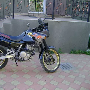 Honda Dominator 650