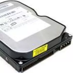 Жесткий диск Samsung 200Gb